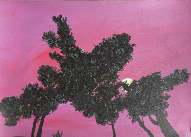 THERE IS LIGHT ON BOTH SIDES OF THE MOON