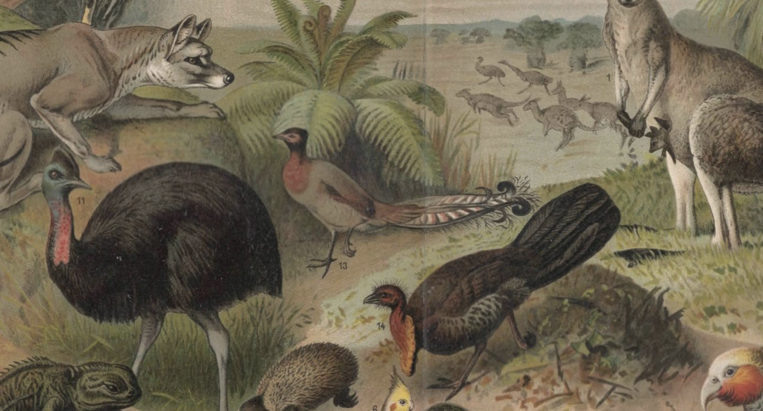 Screenshot 2026-03-17 at 5.47.41 PM