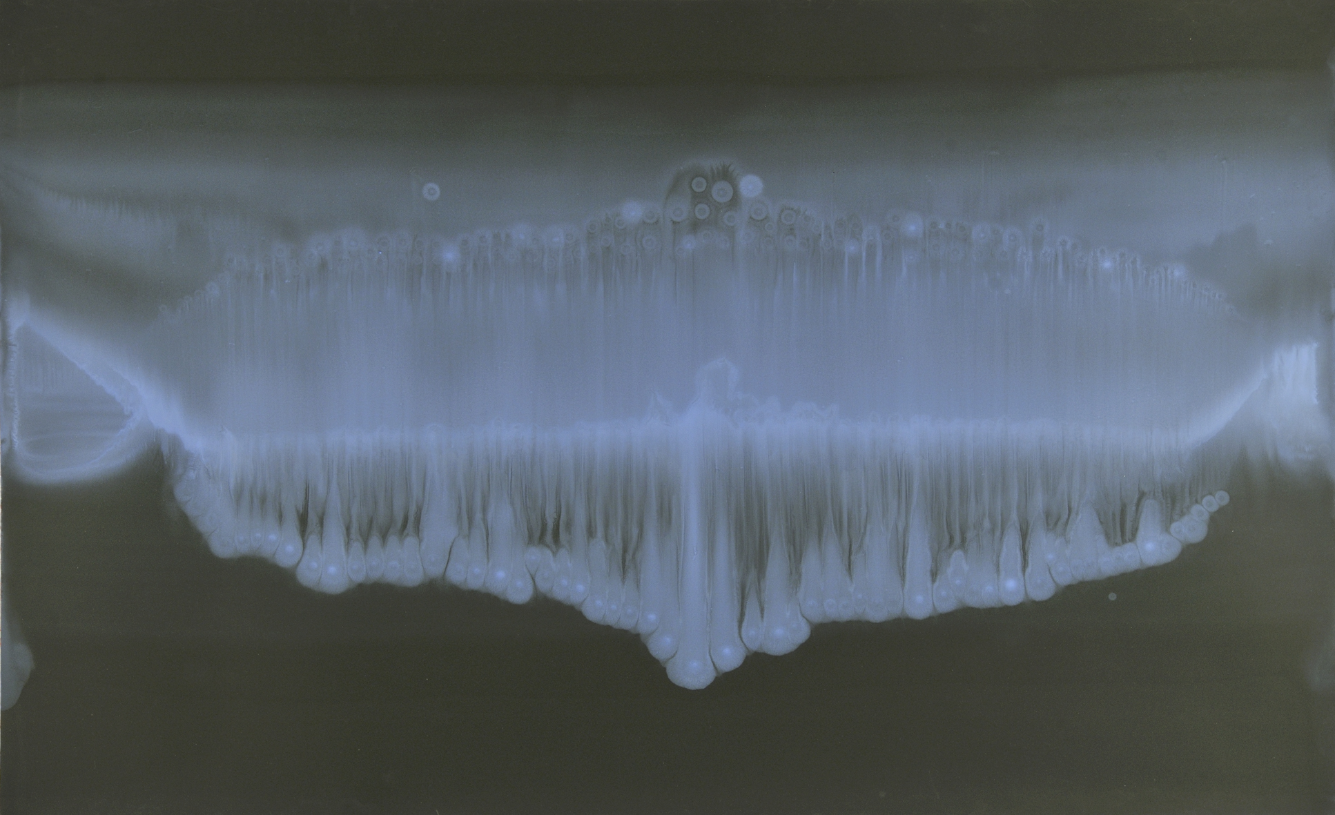 epitaph (già anelito), 2010, oil on sandpaper on canvas, cm.94×152