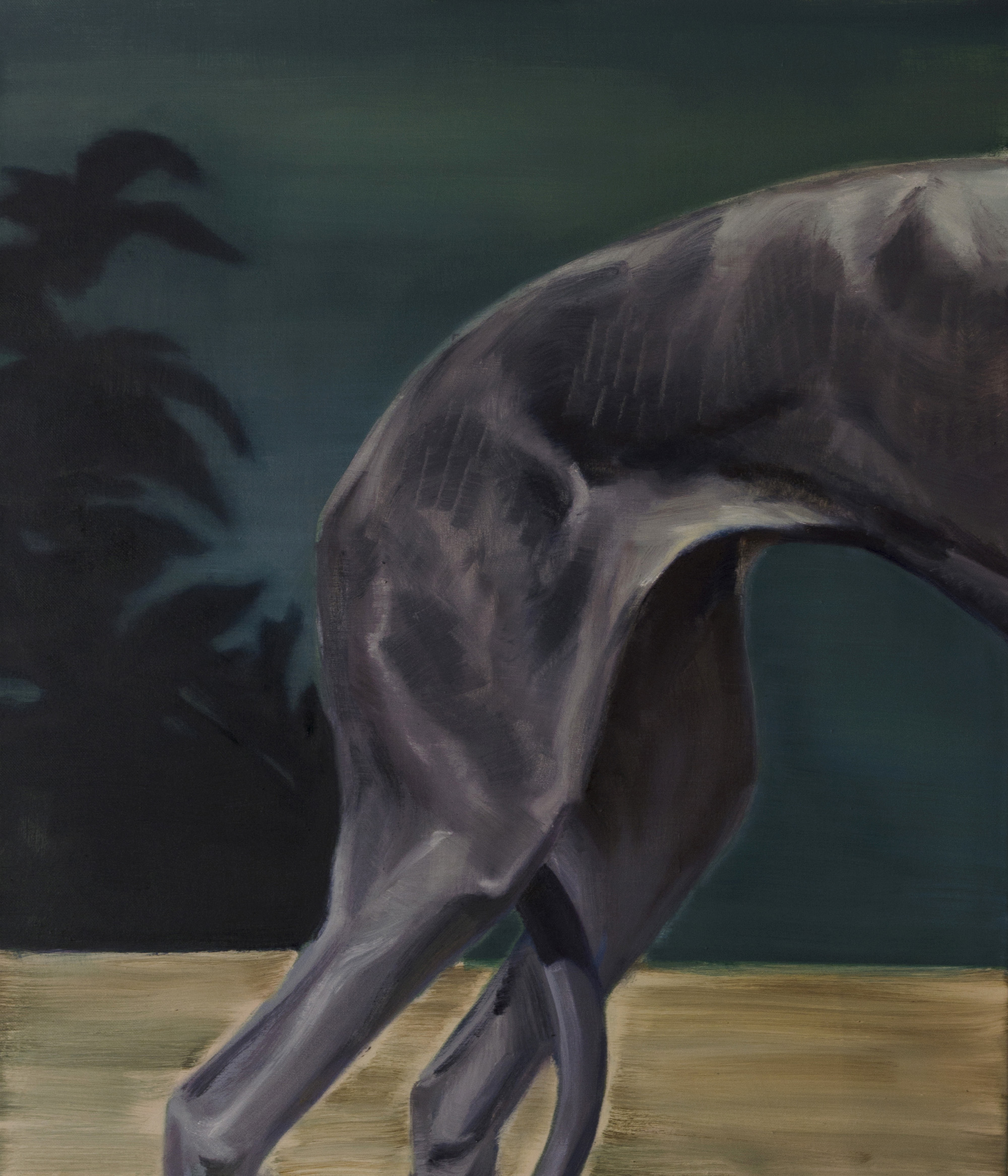tail-70x60cm-oil-on-canvas-2021-in-private-collection